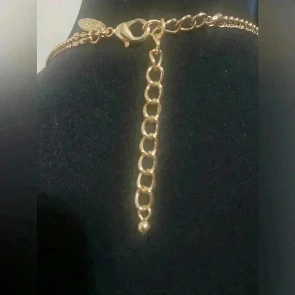 Style & Co Orangish Oval Stone Double Chain Pendant Necklace, 38" + 3" extender - Picture 5 of 5